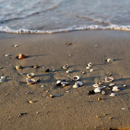 Charming With Panoramic Views * 비비오네