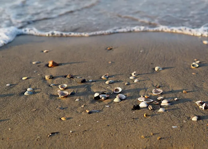 Charming With Panoramic Views * Бібіоне